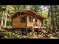 Building a Solid Wooden Cabin Deep in the Forest
