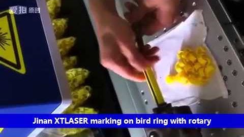 Marking on bird ring with fiber laser marking machine