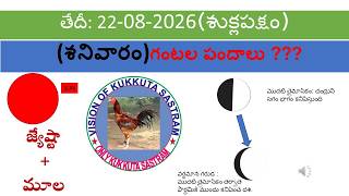 22 August 2026 today winning colours/Today winning colours /vision of kukkuta sastram in colours
