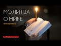 Молитва о мире в Феодоровском соборе Санкт-Петербурга