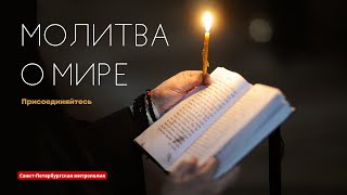 Молитва о мире в Феодоровском соборе Санкт-Петербурга