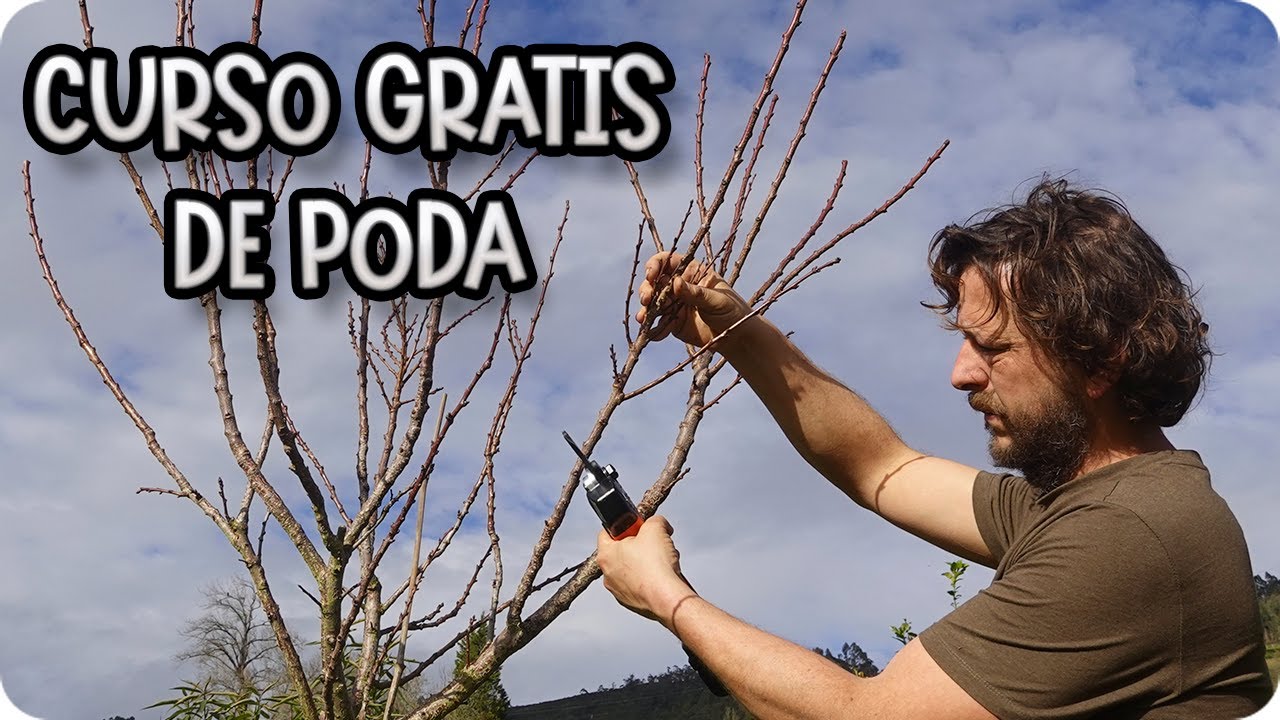 Curso Completo De Poda De Formación De Frutales Jóvenes - Aprende A Podar || La Huertina De Toni