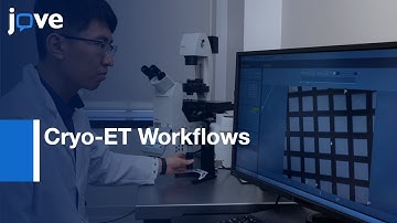 Micropatterning TEM Grids for Cell Positioning in Cryo-ET Workflows | Protocol Preview