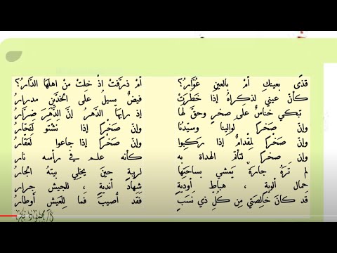 من الشعر الجاهلي مرثية الخنساء لأخيها صخر قراءة تحليلية للأبيات منها قولها صخركأنه علم على رأسه نار