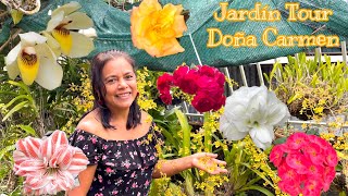 TOUR POR EL JARDÍN DE MI VECINA Doña Carmen 🌹