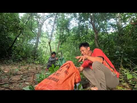 Sharing the catch and heading home with great news: a big pig caught in the trap again! Lucky str...