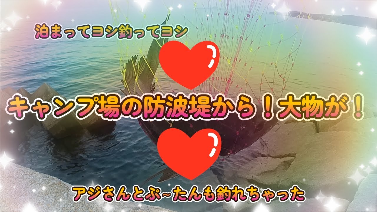 【サビキが出来るキャンプ場】まさかの【大物】長崎鼻リゾートキャンプ場