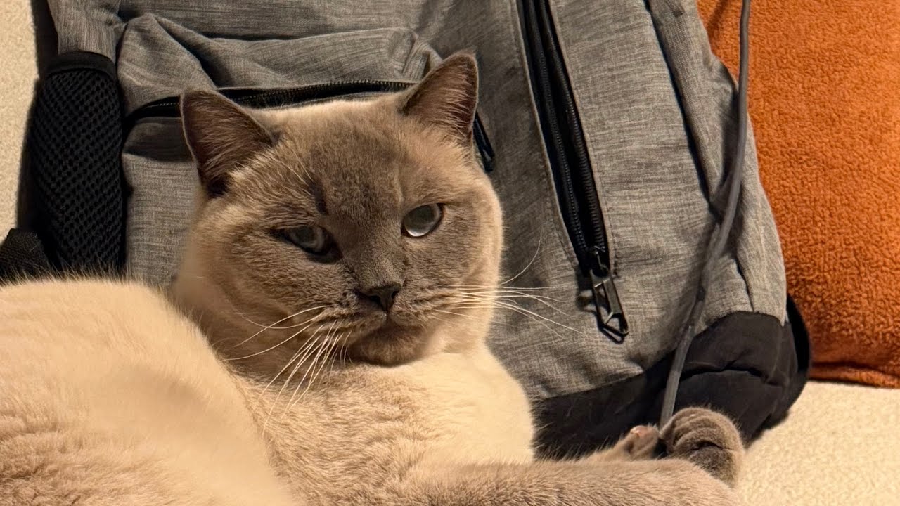 benimle birkaç gün