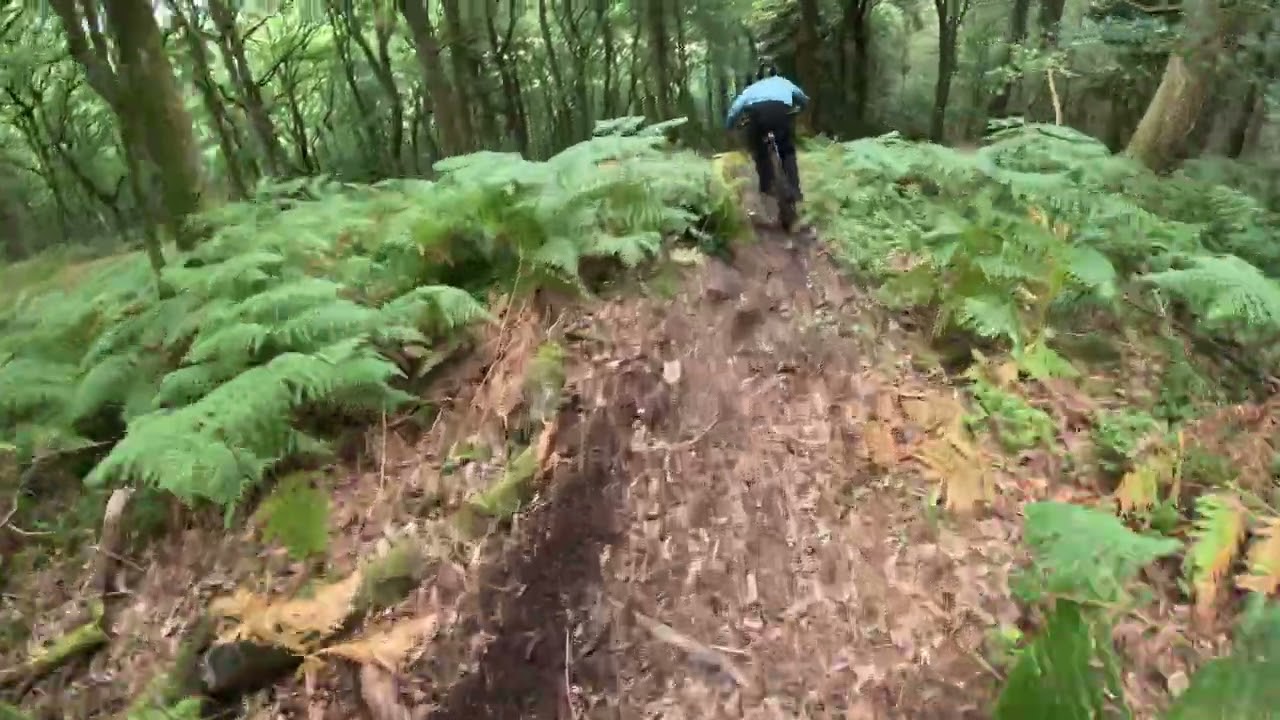 Insanely fun run following the 🔥 James Flinders