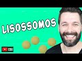 LISOSSOMOS E DIGESTÃO CELULAR - Citologia | Biologia com Samuel Cunha