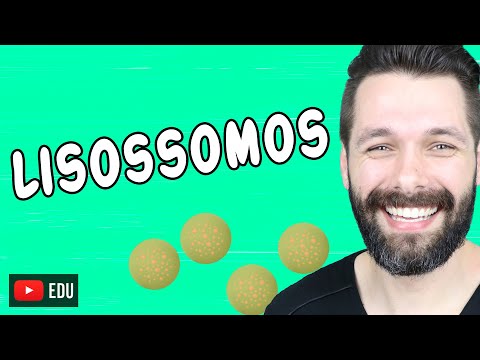 Vídeo: Quais plantas possuem lisossomos?