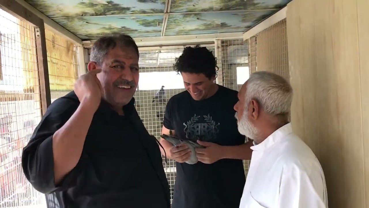 سهيل المبارك وابو حيدر تصوير الحمام للموسم الجديد