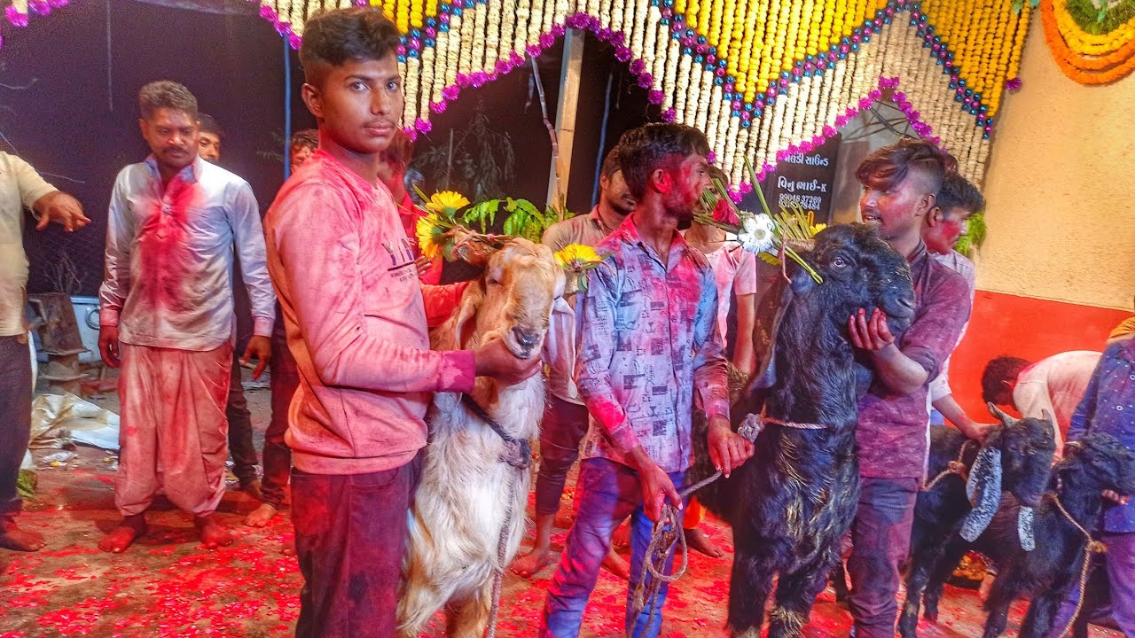 જોની જાગર ટોપ વીડિયો ફતેપુરા ફુલ મોજ || Johny Jagar  Top Video Fatehpur