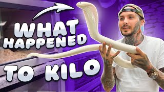 What happened to KILO ?!