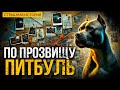 Опасное Расследование I По прозвищу Питбуль I Мрачный Триллер