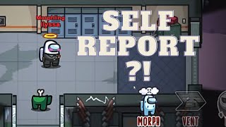 It's a self report ?! | Among Us