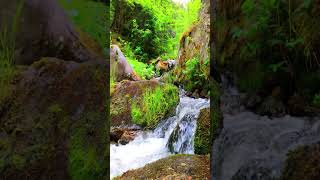 Relaxing Water Sounds, Nature Sounds, Water flow #watersounds #nature #relax #meditation #sleep