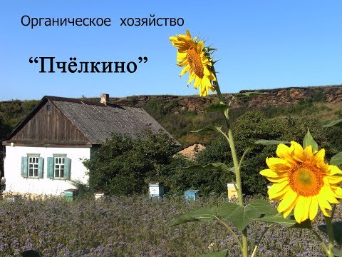 Биологическая защита пчел от болезней и вредителей без химии Биологическая защита пчел от болезней и вредителей без химии