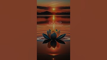 [سُورَةُ الجَاثِيَةِ: ٨-٩] #سورة_الحاثية #عبدالله_الموسى #قرآن #قرآن_كريم #quran #quran_alkarim