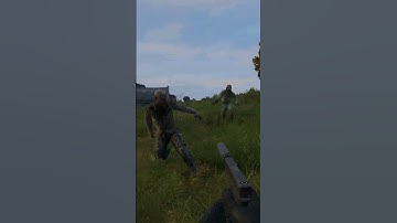 When the zombies are on your team in #dayz #shorts #short