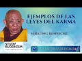 EJEMPLOS DE CÓMO FUNCIONA EL KARMA- Serkong Rinpoché Study Buddhism-