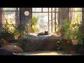 Lofi with my cat  a day with my cat  beats to relaxstudy  lofi hip hop  lofi mix