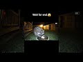 Racoons are evolving...😱