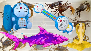 Kem Ốc Chanel ra bờ ao câu con cá, con cua gặp con rắn cắn quái vật. Review đàn hình Doreamon.