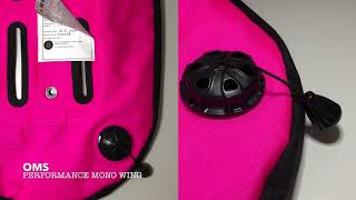 Famous Performance Mono Wing 2018 Net Worth