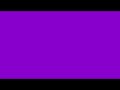 Violet Screen 2 Hours | Violet Color Screen | Purple Violet Background Screen Video