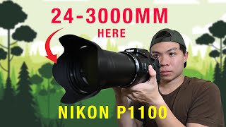 видео: Обзор Nikon P1100: КОРОЛЬ СУПЕРЗУМОВ картинка: Обзор Nikon P1100: КОРОЛЬ СУПЕРЗУМОВ
