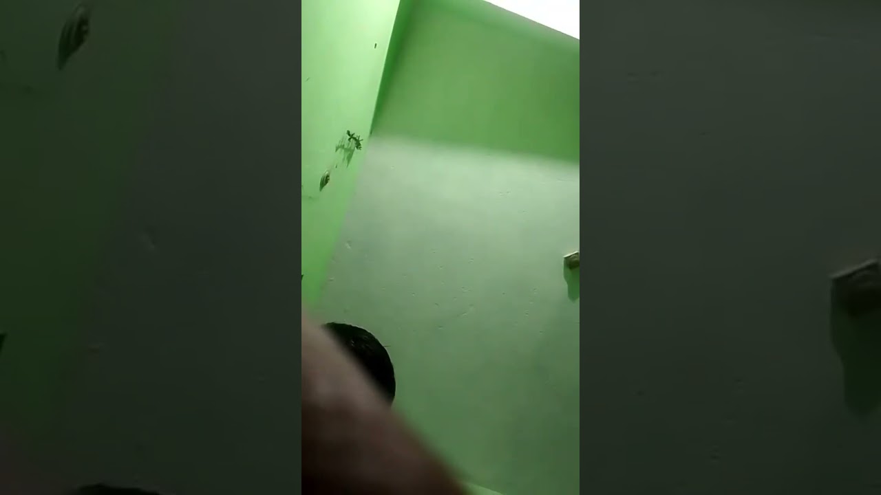 Manoj Kumar Rai लाइव है! की हाइलाइट 10:23 से 15:22 तक