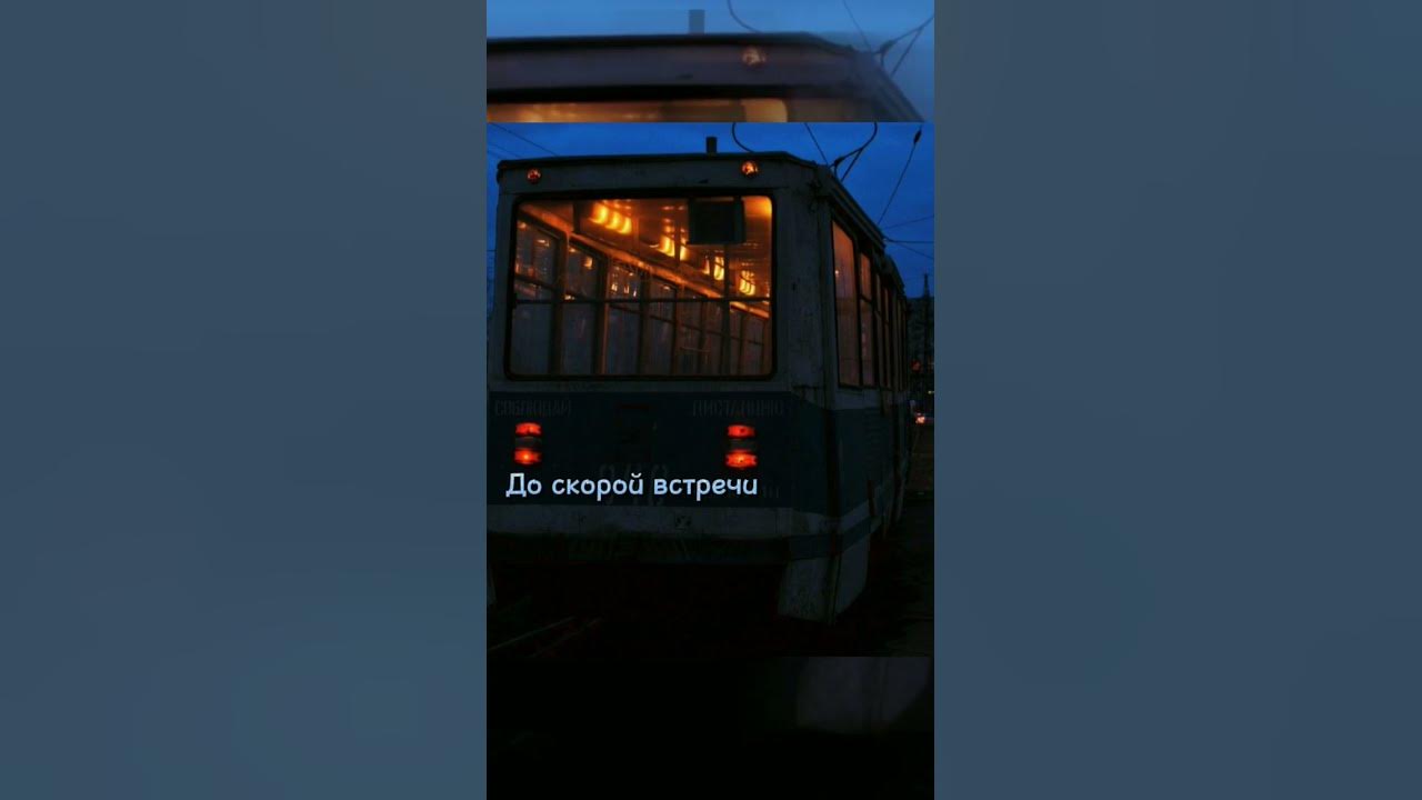 До скорой встречи звери. До скорой встречи тик ток. До скорой встречи тик ток. До скорой встречи тик ток. До скорой встречи звери.