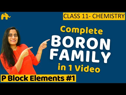 P block elements class 11 - Boron Family | One Shot Hindi | JEE CBSE NCERT NEET