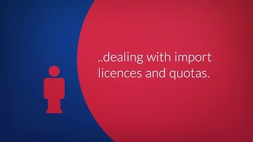 What is Customs Clearance?