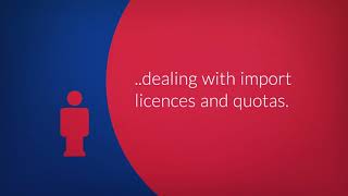 What is Customs Clearance?