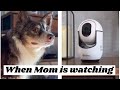 When mom is watching