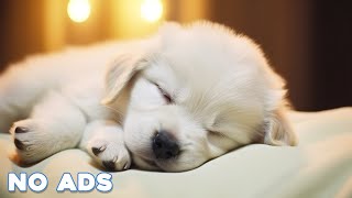 12 HOURS Soothing Music For Dogs  Anti Separation Anxiety  Stress Relief Music