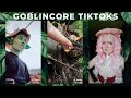 Some GoblinCore TikToks You Can Treasure (almost) as Much as Your Collection of Shiny Things