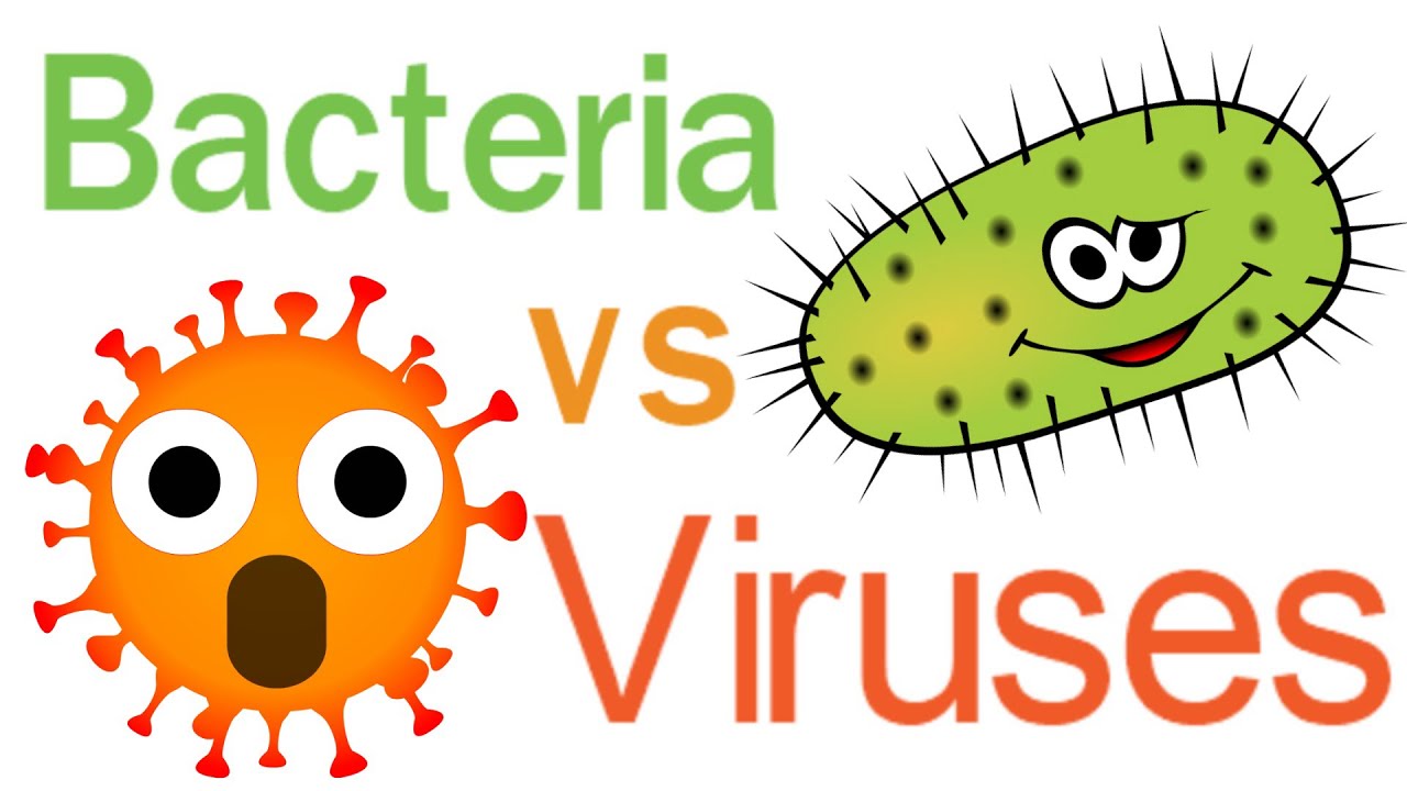 Differenze tra infezione batterica e virale