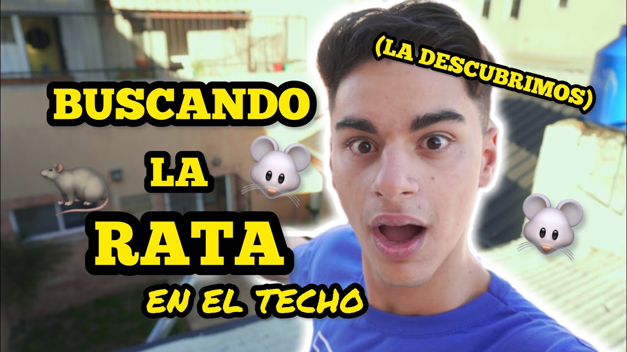 DESCUBRIMOS LA RATA EN EL TECHO DE MI CASA😱🐀 | JUANCITO INVESTIGA