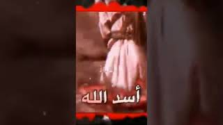 الصبه الهندية هزت المالم هزت وصارت تر ند حيدر //حيدر علي مولاه ع 