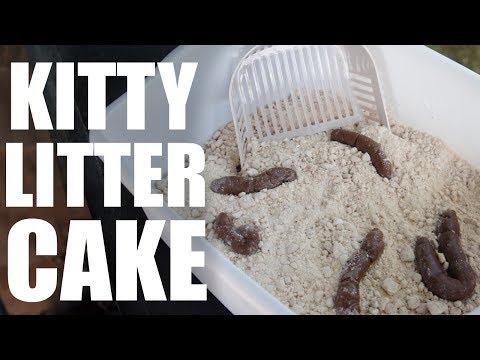 Kitty Litter CAKE | Dollar  Recipe