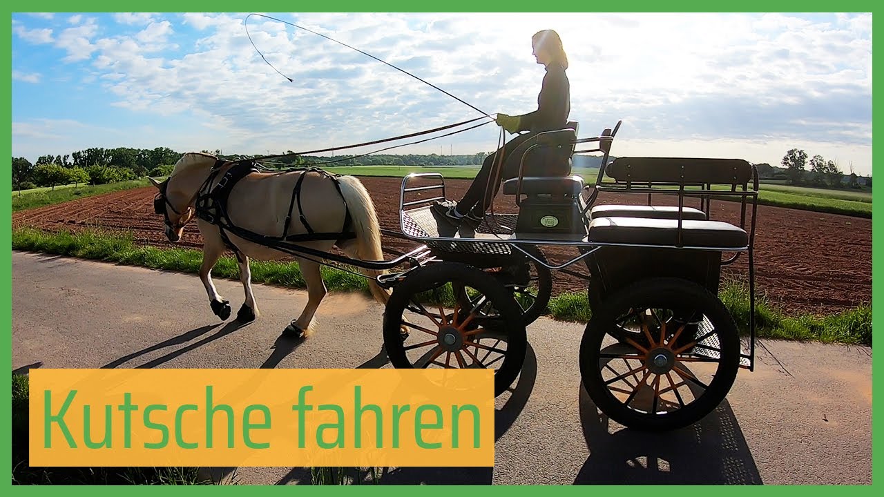 🐴 Wie fährt man Kutsche? FMA mit Kira 😇 // Blondis auf Fjordis