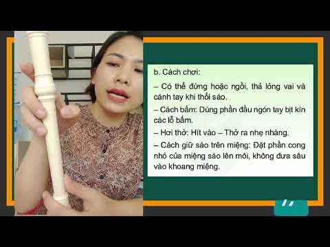Video Hướng dẫn sử dụng sáo Recorder (Chủ đề 2 - tiết 3 -... - youtube