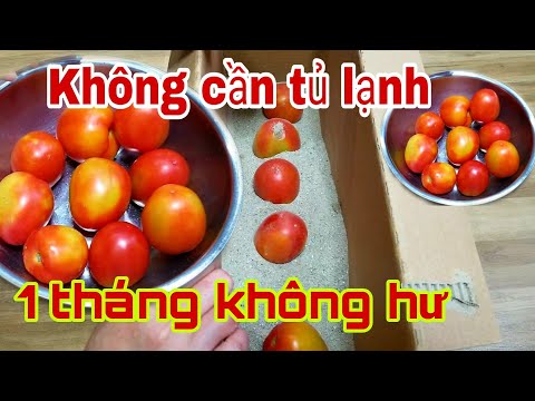 Video: Làm thế nào để chuẩn bị đậu Hà Lan để nấu ăn: 10 bước (có hình ảnh)