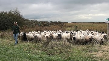 Roel neemt een kijkje - De 