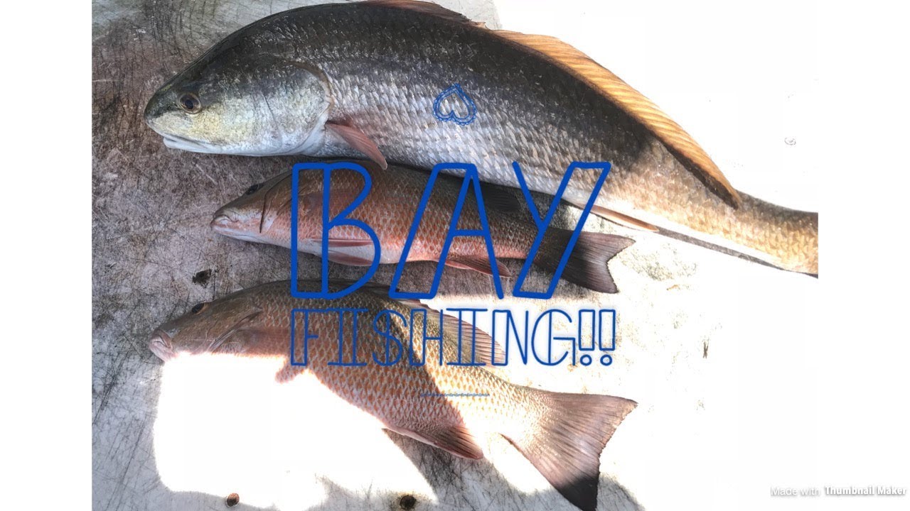 Bay fishing! - YouTube