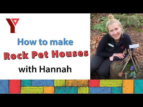 YPlay: How to Make a Pet Rock House