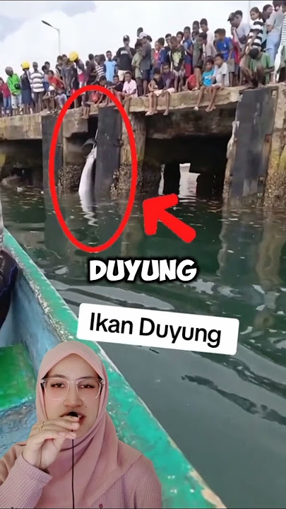 Ternyata beginilah putri duyung sebenarnya 😱‼️